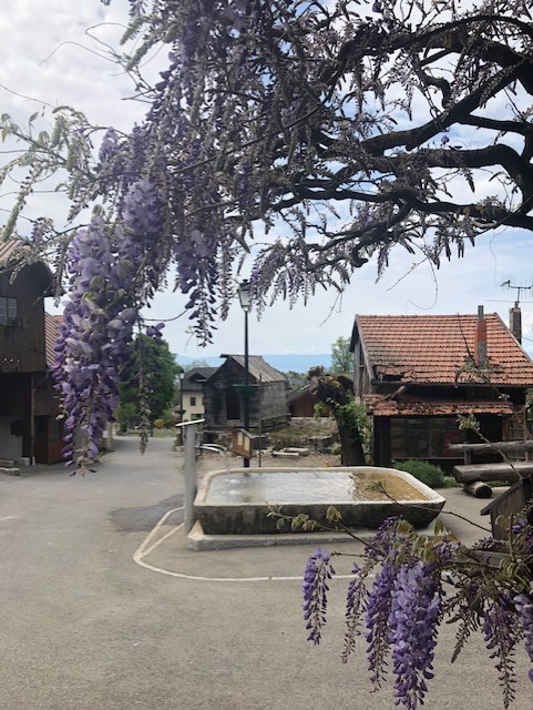 Village trough april 2020