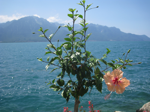 Montreux-lake-view-web