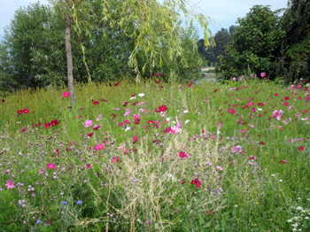 evian-water-gardens-4